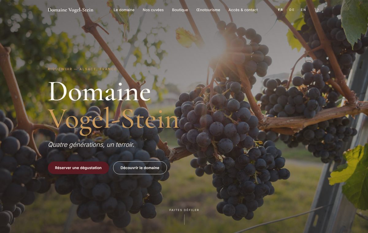 Page d'accueil du site de démonstration : Domaine Vogel-Stein, vignoble au coucher de soleil