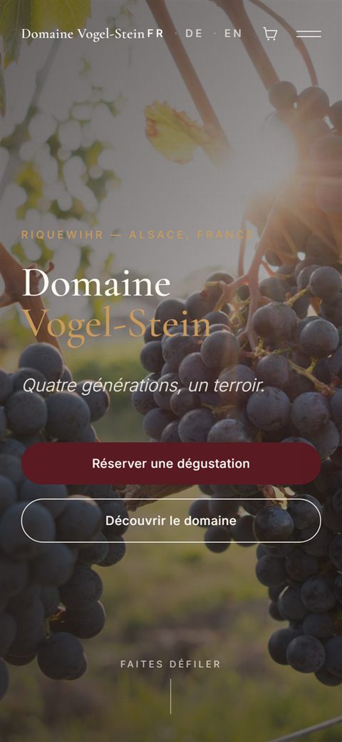 Version mobile du site de démonstration